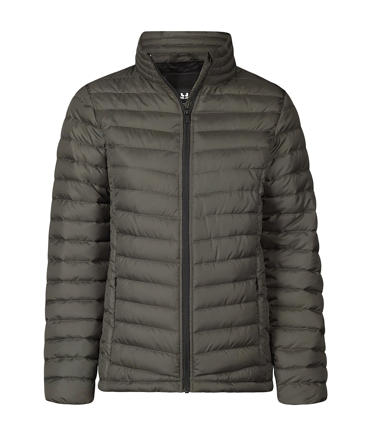Women’s Zepelin jacket