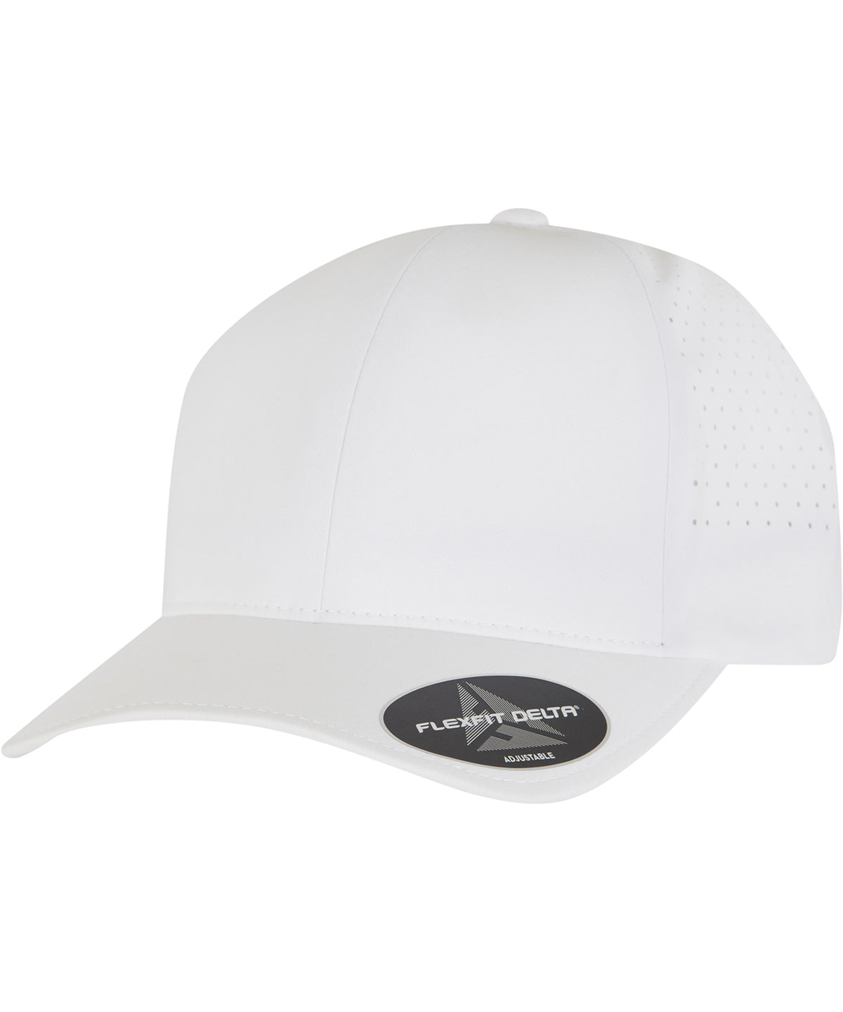 Flexfit Delta snapback