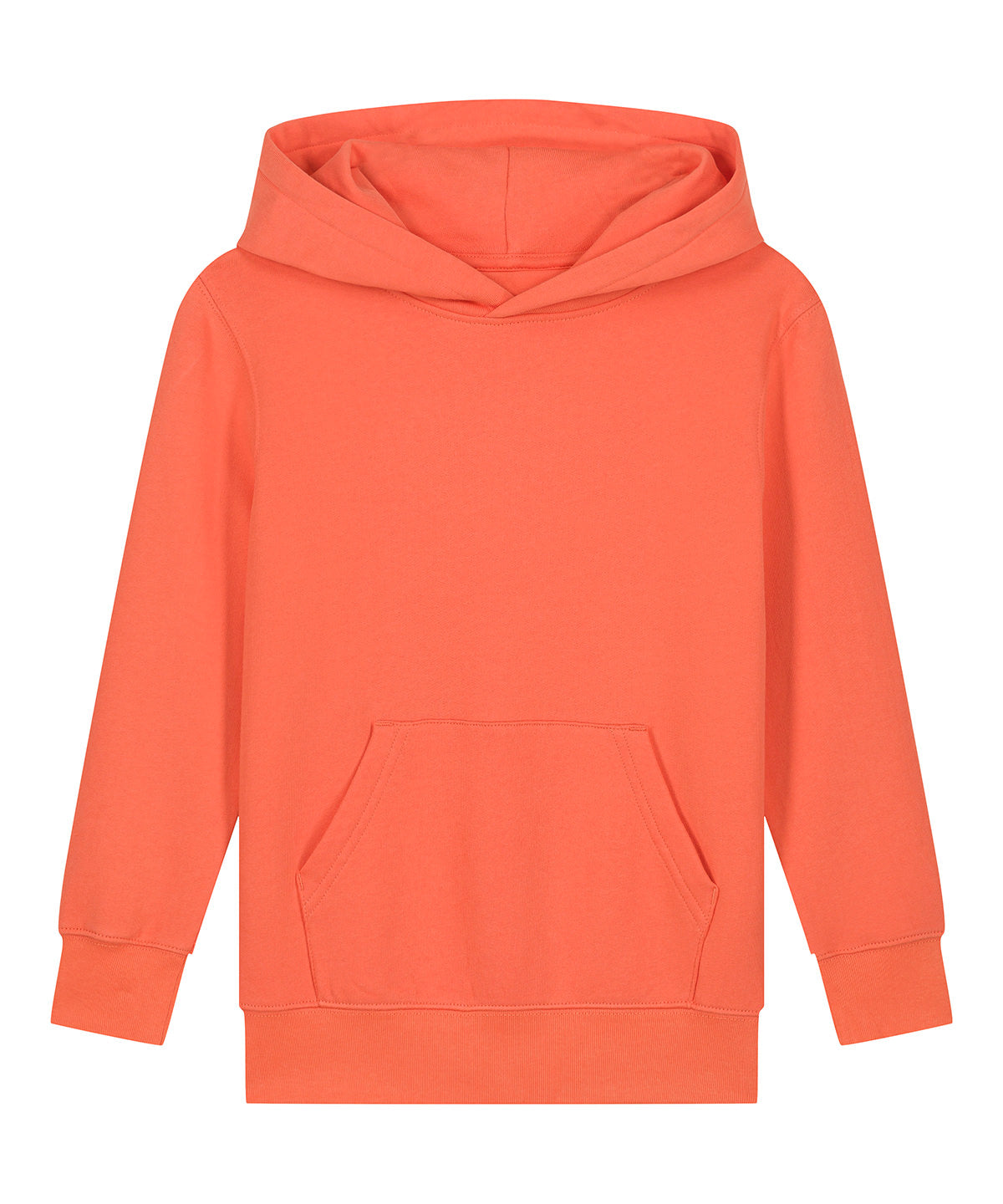 Kids Mini Cruiser 2.0 iconic hoodie sweatshirt