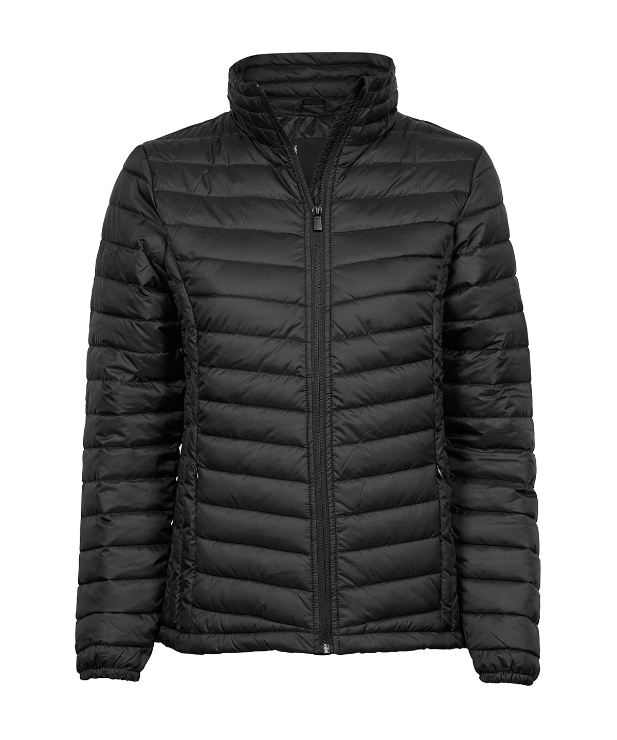 Women’s Zepelin jacket