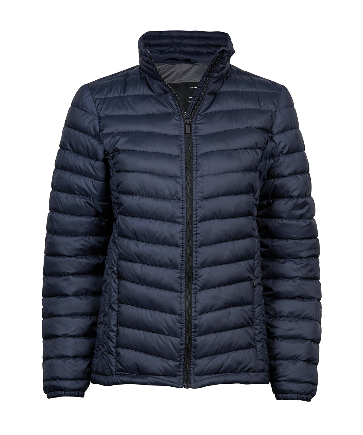 Women’s Zepelin jacket