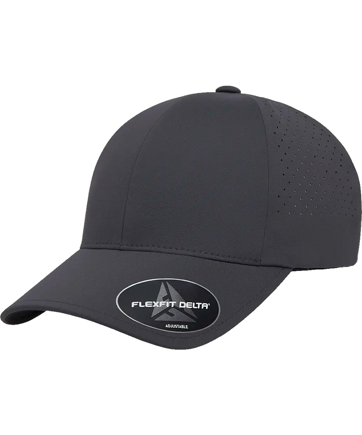 Flexfit Delta snapback